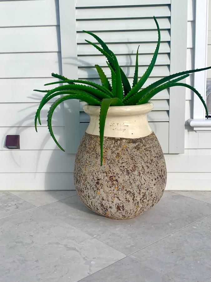 The Cape At Wategos - Lodging In Paradise Byron Bay Exterior foto